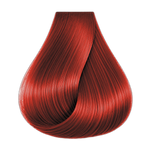 BBCOS Pro.Color 100ml